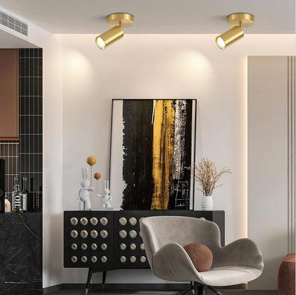 FLG-513 Spot iluminación individual, latón